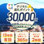 LOCOPAYデジタル返礼ポイント _B167-004