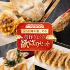 生ぎょうざ専門店 新家の創作ぎょうざ 5種類