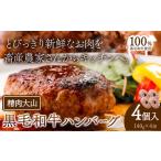 黒毛和牛100% ハンバーグ 140g×4個
