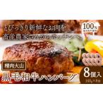 黒毛和牛100% ハンバーグ 140g×8個