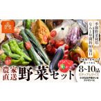 新鮮 野菜 セット ミディアムサイズ 8~10品