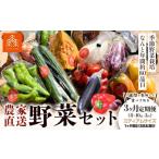 新鮮 野菜セット ミディアムサイズ 8~10品