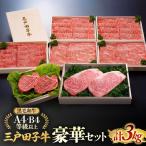 和牛 豪華セット 3kg