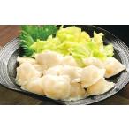 ふるさと納税 餃子の王国 ひと口 生水餃子 計120個 260g(20個)×6袋 熊本県熊本市