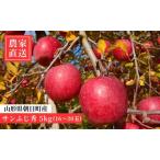 ふるさと納税 < 先行予約 > りんご サンふじ 秀 5kg 16〜20玉 【2025年12月上旬発送】 農家直送 山形県 朝日町産 山形県産 特産 果物 フルーツ.. 山形県朝日町