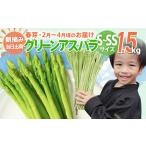 アスパラ S~SS サイズ 1.5kg