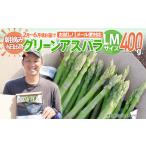 アスパラガス LM 400g