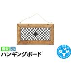 ハンギングボード 横型 小 インテリアプランツ