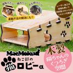 JJB-1. maemokuねこ部の猫ロビーa