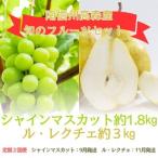 ふるさと納税 【発送月固定定期便】旬のフルーツセット シャインマスカット約1.8kg/ル・レクチェ約3kg 全2回 長野県高森町