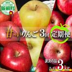 旬の甘いりんご 訳あり 3kg