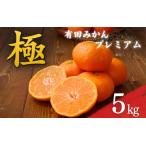 みかん 有田みかんプレミアム 約5kg