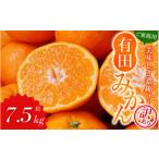 みかん 訳あり 有田みかん 約7.5kg