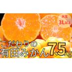 有田みかん 約7.5kg