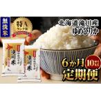 ふるさと納税 令和7年産《新米先行受付》【定期便(10kg×6カ月)】【無洗米】北海道滝川市産ゆめぴりか | 米 お米 精米 ブランド米 コメ ごは.. 北海道滝川市