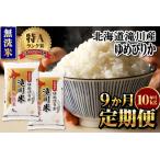 ふるさと納税 令和7年産《新米先行受付》【定期便(10kg×9カ月)】【無洗米】北海道滝川市産ゆめぴりか | 米 お米 精米 ブランド米 コメ ごは.. 北海道滝川市