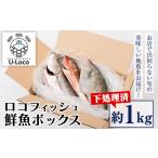 鮮魚ボックス 約1kg