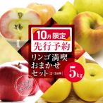 リンゴ満喫おまかせセット 約 5kg