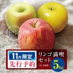 訳あり リンゴ満喫おまかせセット 約 5kg