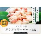 〈口どけなめらか〉梁井 ぷりぷりホルモン 1kg