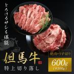 特上切り落し 焼肉 うす切り 計600gセット