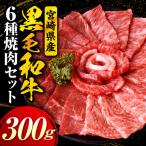 産黒毛和牛 経産 6種焼肉セット 300g