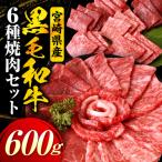 産黒毛和牛 経産 6種焼肉セット 600g