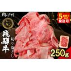ふるさと納税  飛騨牛 切り落とし 250g A5 A4 国産 牛 黒毛和牛 和牛 牛肉 薄切り 訳あり 牛丼 すき焼き しゃぶしゃぶ 肉のひぐち 岐阜県東白川村