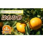 はれひめ 約2kg