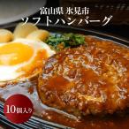 ソフトハンバーグ 10個