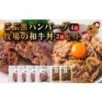 ふるさと納税 北のハイグレード食品セクション受賞 こぶ黒ハンバーグ和牛丼セット F6S-580 北海道