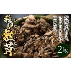 ショッピングふるさと納税 訳あり ふるさと納税 訳あり（簡易包装）飛騨舞茸 2kg マイタケ まいたけ キノコ きのこ TVで紹介された品 テレビで紹介 テレビで放送 訳アリ【60-3】 岐阜県下呂市