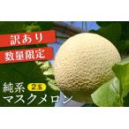 ふるさと納税 【訳あり】純系マスクメロン2玉【6〜7月発送分】 千葉県富津市