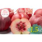 ふるさと納税 【2026年�