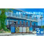 クラフトビール全2回定期便4本セットおまかせクラフトビール