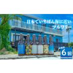 クラフトビール全6回定期便4本セットおまかせクラフトビール