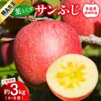 皮ごとバリッ 葉とらず サンふじ 特A ご 3kg