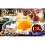 こだわりの平飼いのびのび養鶏有精卵 ひらがい有精卵さがみ…