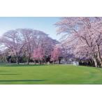 桜の宮ゴルフ倶楽部 ゴルフ プレーチケット