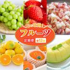 のフルーツ定期便 2027年旬の味覚 セット