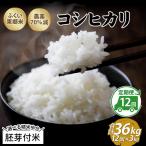 令和8年産 新米 ふくい東郷米 特別栽培米