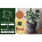 三河焼植木鉢ダークシルバー プランター