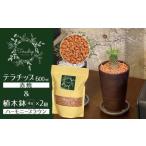 三河焼植木鉢ハーモニーブラウン プランター