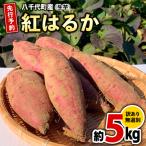 さつまいも 紅はるか 約5kg