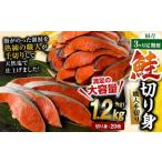 鮭切り身 20枚