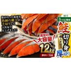 鮭切り身 厚切り 15枚