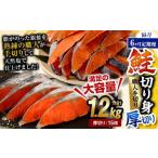 鮭切り身 厚切り 15枚