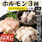 黒毛和牛 ホルモン 3種