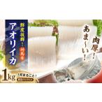 対馬産 天然 アオリイカ 1杯