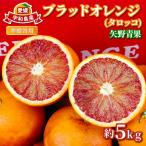ブラッドオレンジタロッコ5kg準 用矢野青果